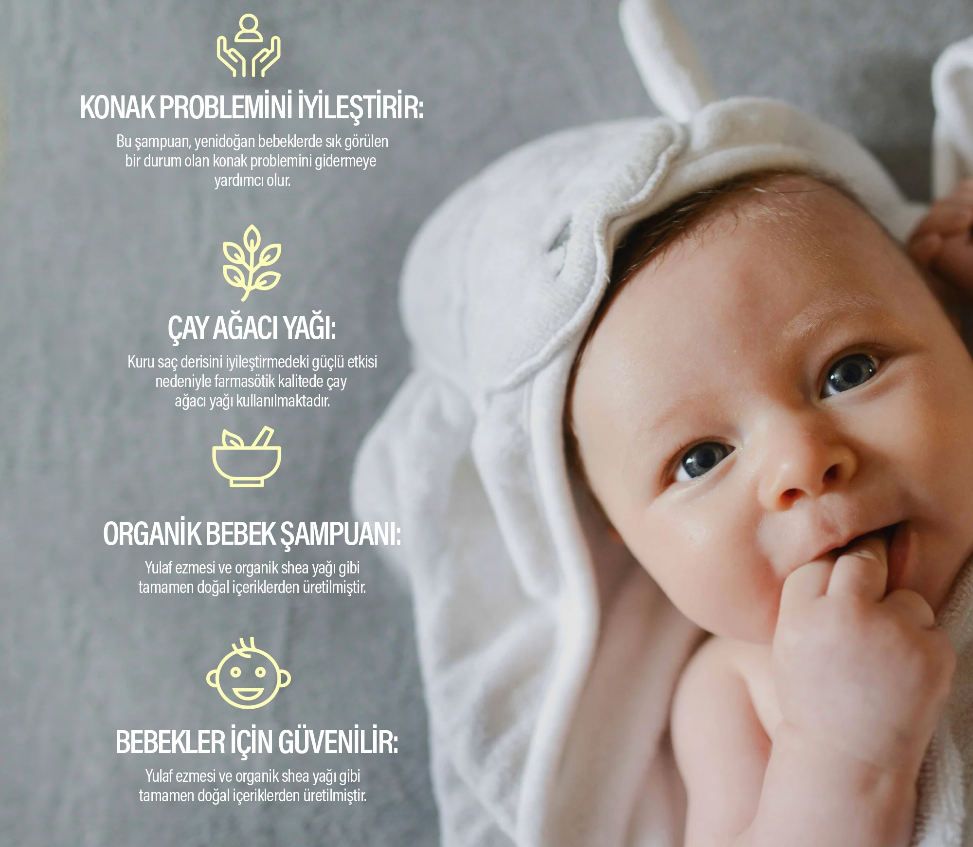 Doğal Saç ve Saç Derisi Şampuanı